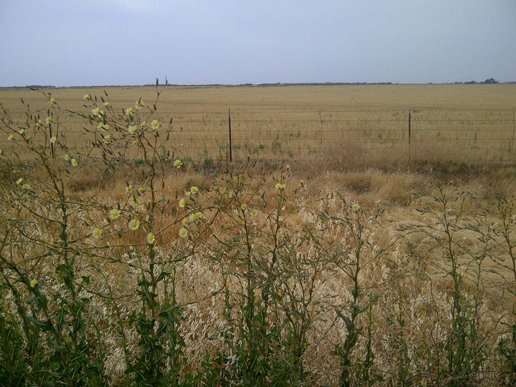 [IMG-20120526-05543%255B1%255D.jpg]
