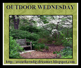 [Outdoor-Wednesday-logo_thumb4_thumb1.png]