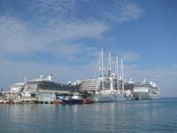 IMG_1447 IMG_1447