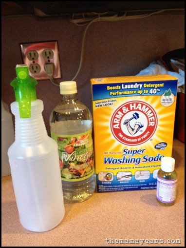 homemade cleaning soln 1