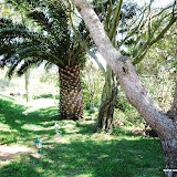 Garden aspect