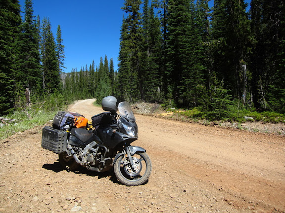  &ndash; Rough Forest Road