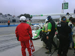 IMG00548-20091010-1720.jpg