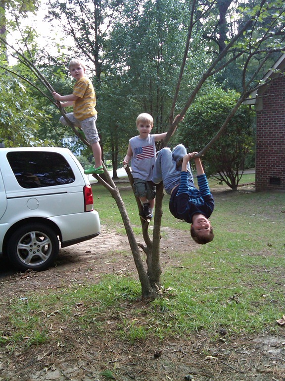 [IMG00134-20110829-1705%255B2%255D.jpg]