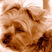 katie my love 005.JPG