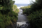 DSC_6106.JPG