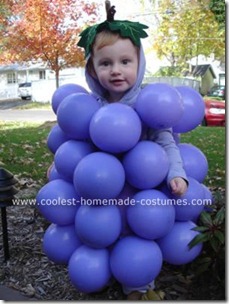 coolest-homemade-grapes-costume-4-21299132