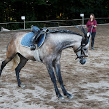 6Y1I2972_DxO_raw.jpg 6Y1I2972_DxO_raw.jpg