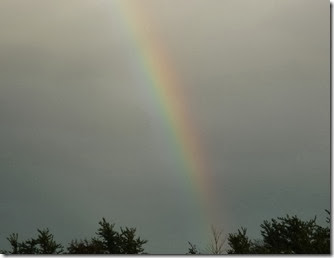 rainbow near semington