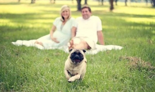 [viral-picdump-pics-9b9839%255B2%255D.jpg]