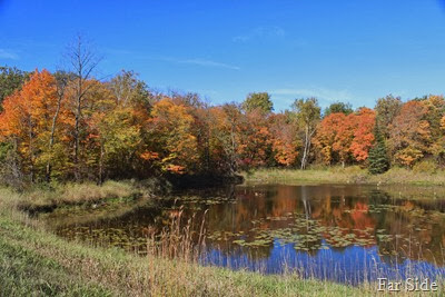 fall colors getting close to peek