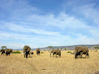 DSCN5811.JPG