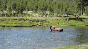 IMG_4020.jpg