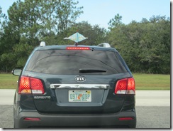 IMG_1494 IMG_1494