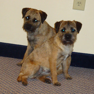 INDY sitting in front of SHEA in the motel room at the Milwaukee Shows 2011