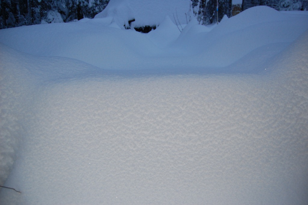 [DSC_0001%255B8%255D.jpg]