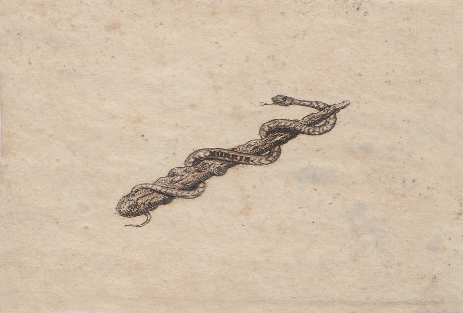 [Morris%255B3%255D.jpg]