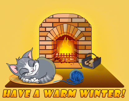 cat fireplace