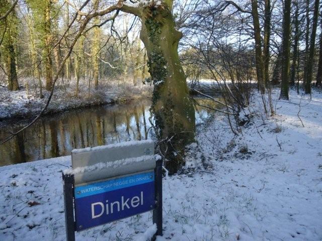 Dinkel in de sneeuw - www.LandgoedDeKniep.nl