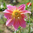 DSC_0542.JPG