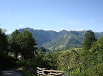 DSC00243.JPG