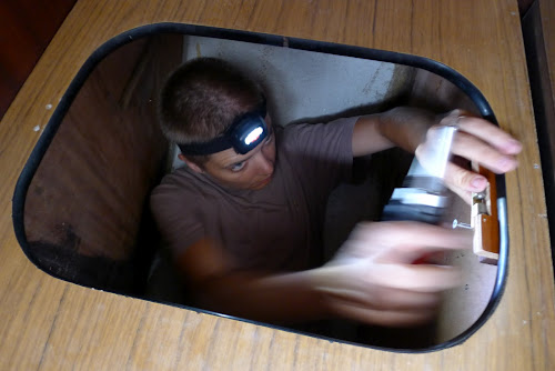 Janička se vejde všude