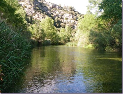 clip_image004 clip_image004