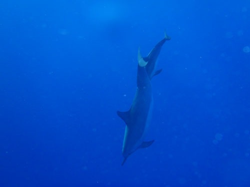 [PA280389%255B2%255D.jpg]