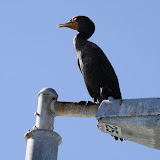 IMG_4044.JPG