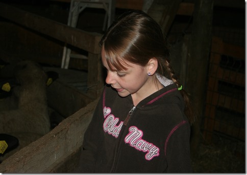 IMG_4608 IMG_4608