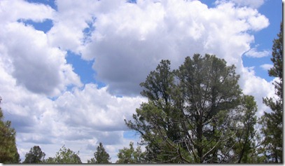IMG_3778 IMG_3778