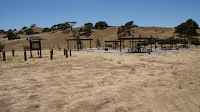 DSC03055.jpg