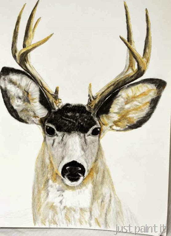 [Deerhead-Sketch-G%255B2%255D.jpg]