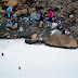 Islande-109.jpg, Islande 1989