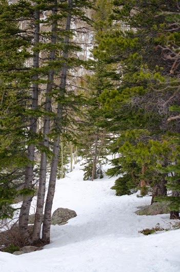 [Bear%2520Lake%2520Trail-11%255B5%255D.jpg]