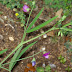 20120412_28