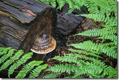 IMG_0983 IMG_0983