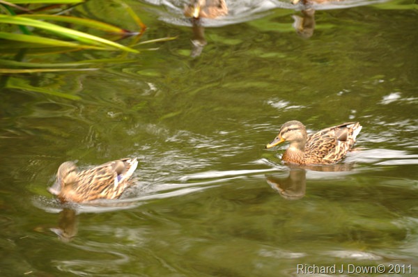DSC_7348_edit01_web DSC_7348_edit01_web