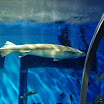 hokkaido_539.jpg