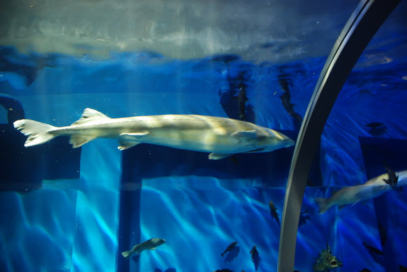 hokkaido_539.jpg