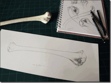 sketches-and-bone
