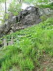 The constant spray of mist ensures a high population of lush, moisture loving plants like ferns and moss.