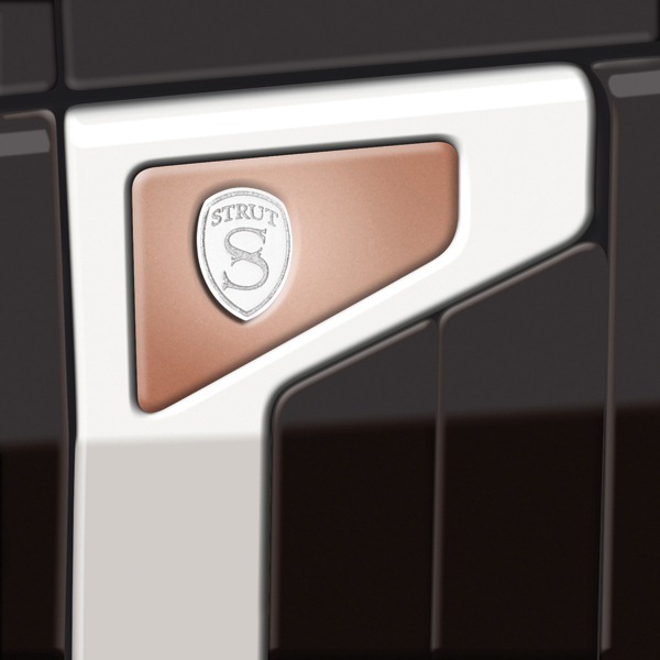 [Struts-2013-Range-Rover-16%255B3%255D.jpg]