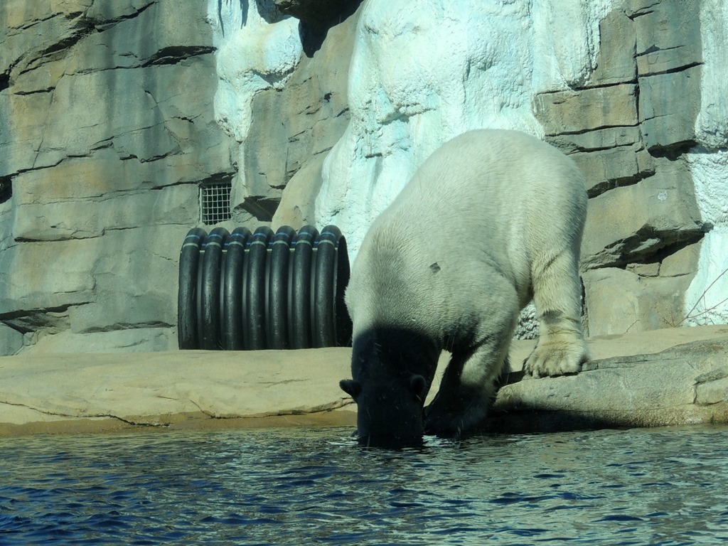 [DSCN2070%255B3%255D.jpg]