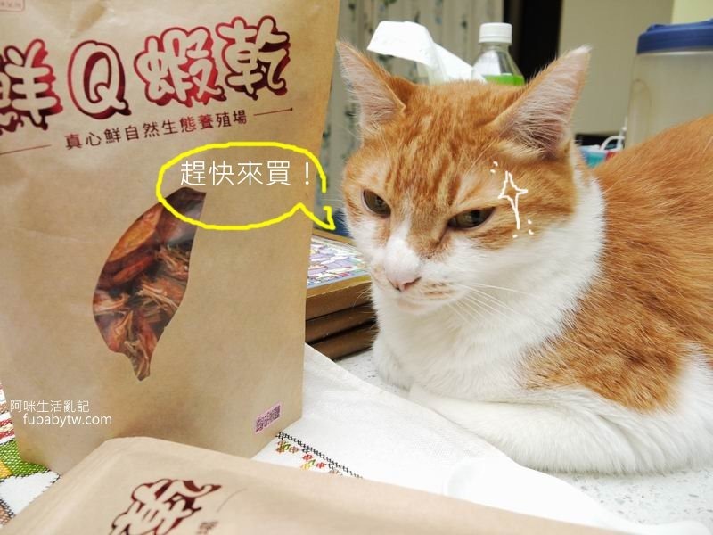 調整大小P1170884 調整大小P1170884