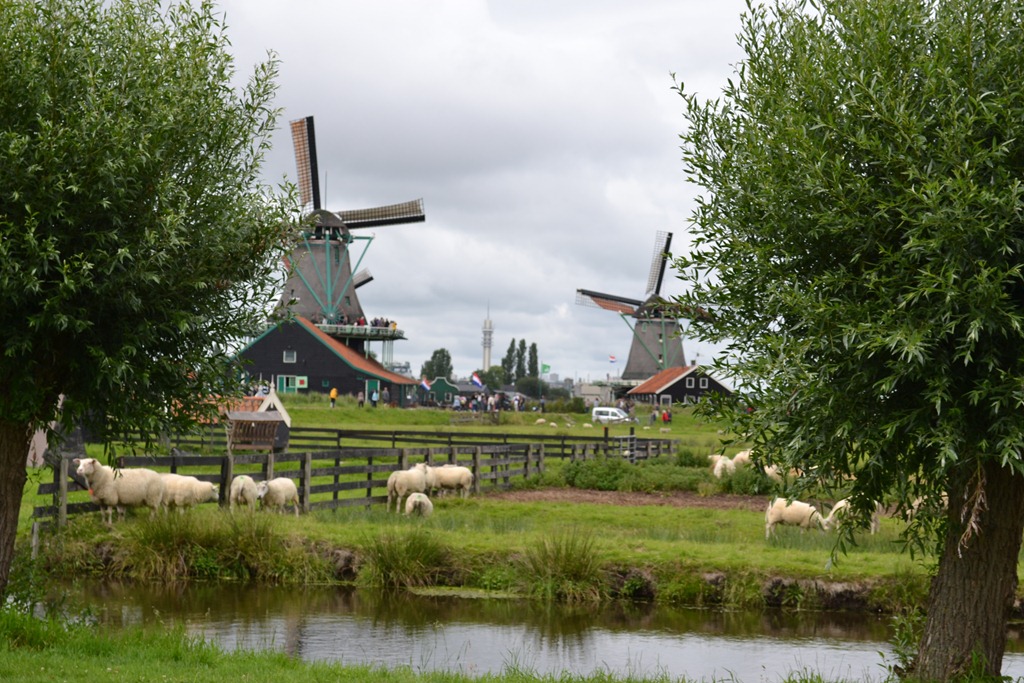 [DSC_0200%255B3%255D.jpg]