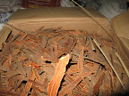 Cinnamon