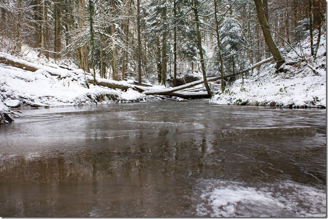 Strümpfelbach Winter