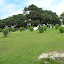 DSCN5722.JPG
