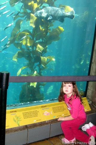 [July16_Kelp%255B2%255D.jpg]